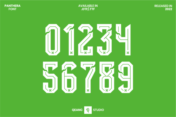 Panthera: The Display Font Built for Speed and Impact